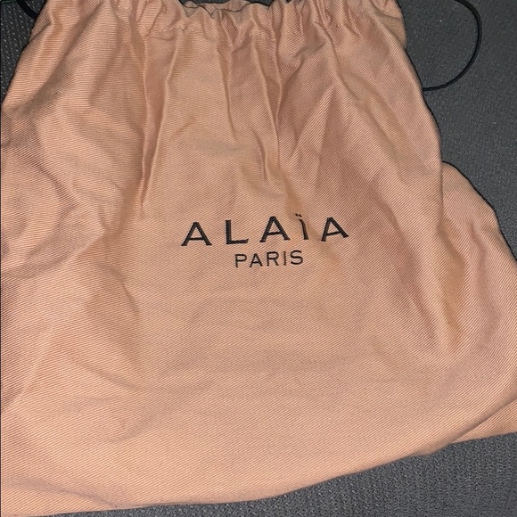 Alaia Med Green Cecile Handbag with strap NWT - Picture 5 of 8